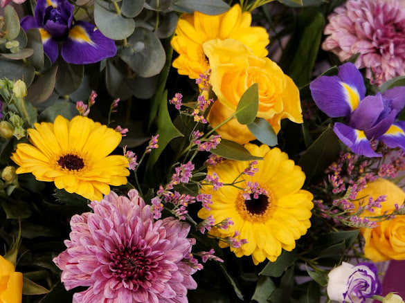 Sunshine and blue skys