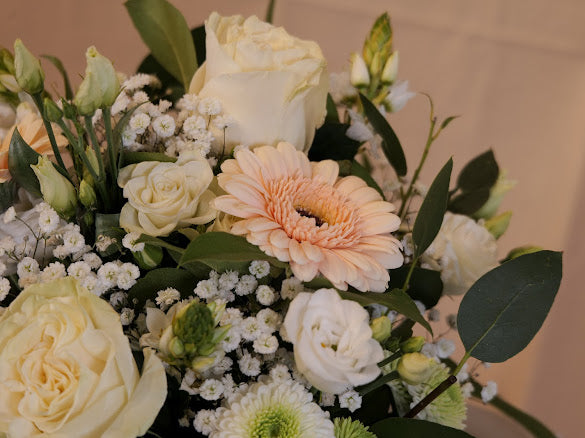 Neutral Posy