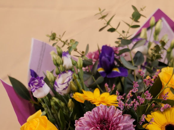 Sunshine and blue skys