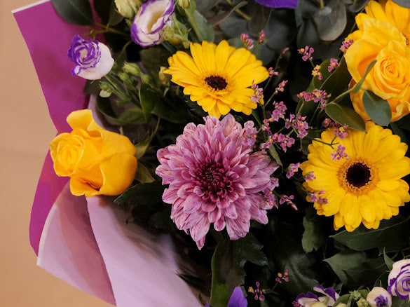 Sunshine and blue skys