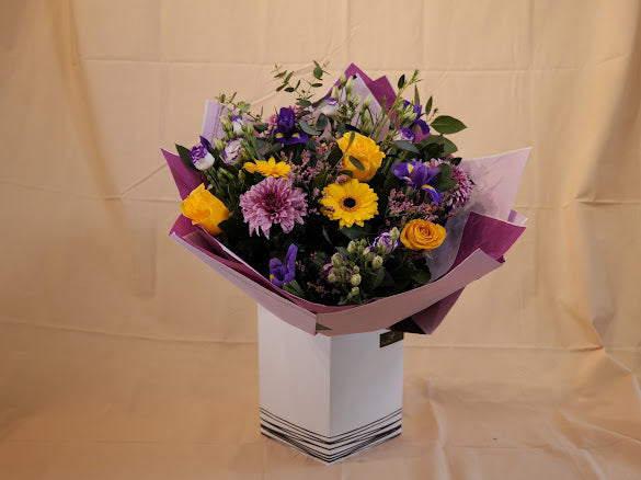 Sunshine and blue skys